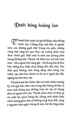 dưới bóng hoàng lan - Ảnh 4
