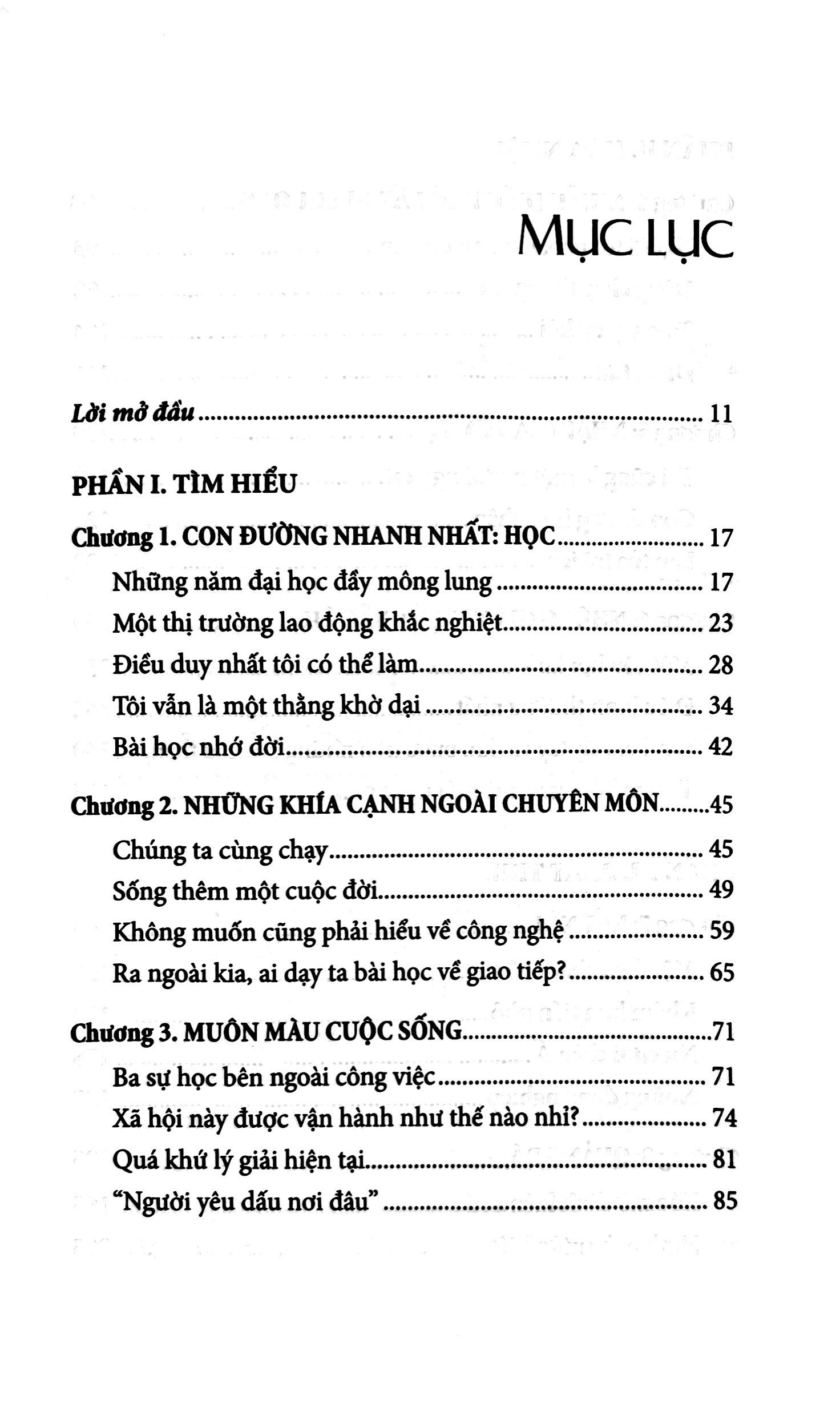 đường hòa nhập của một người việt - Ảnh 11
