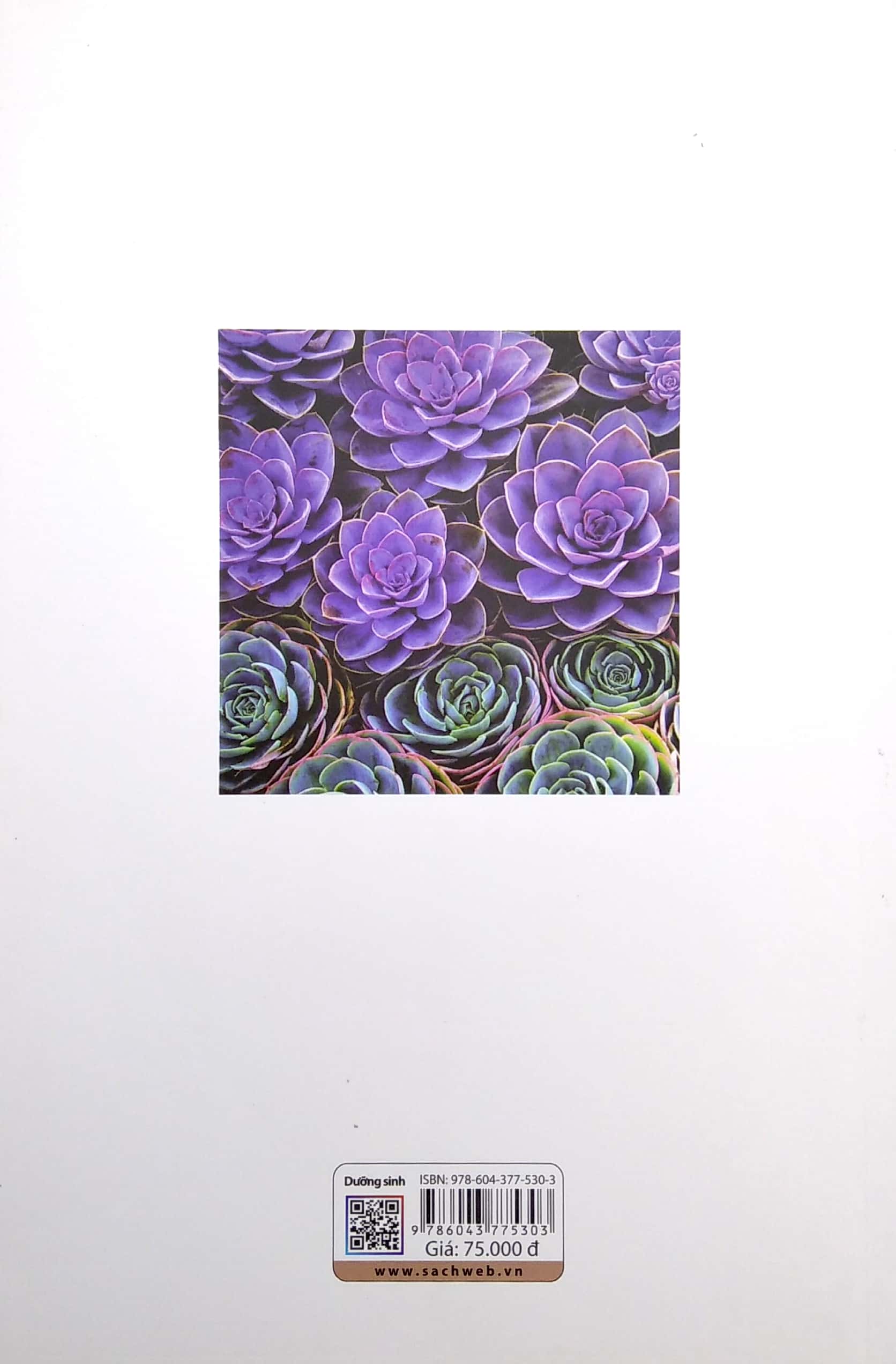 dưỡng sinh (2022) - Ảnh 6