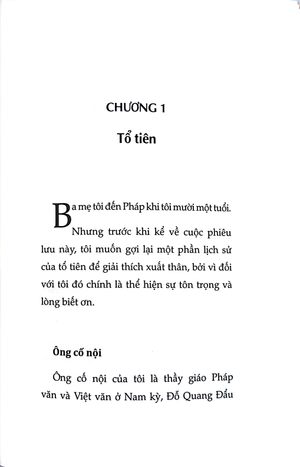 đường tới quộc hội của nữ nghị sĩ pháp gốc việt đầu tiên - phần 1: tiểu sử - Ảnh 6