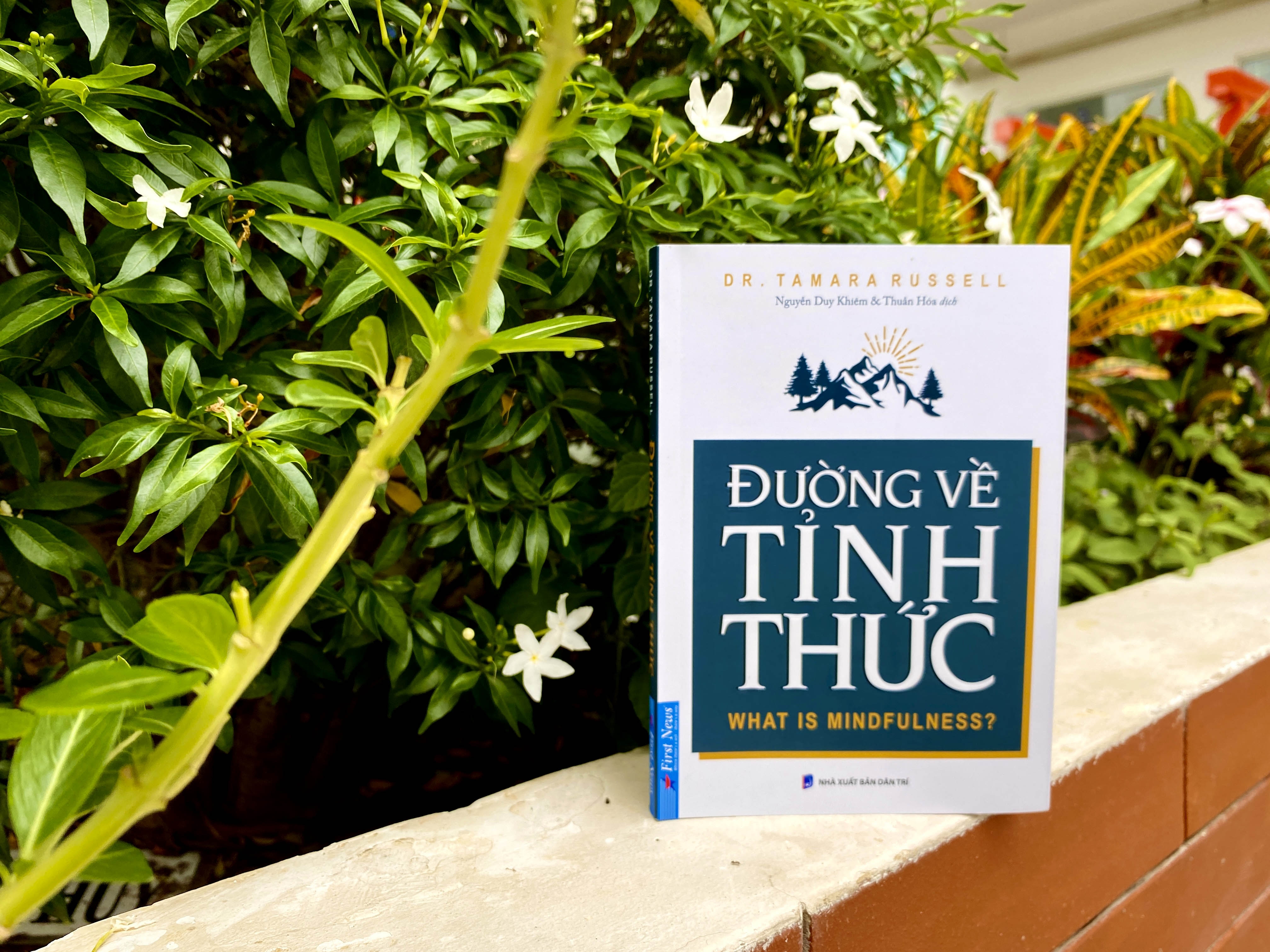 đường về tỉnh thức - what is mindfulness? - Ảnh 10