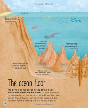 earth's incredible oceans - Ảnh 12