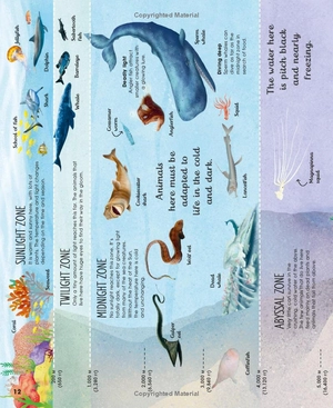 earth's incredible oceans - Ảnh 14