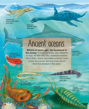 earth's incredible oceans - Ảnh 16