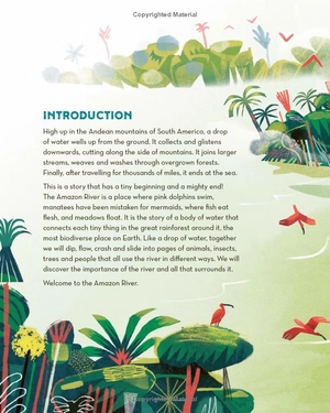 earth's incredible places - amazon river - Ảnh 6