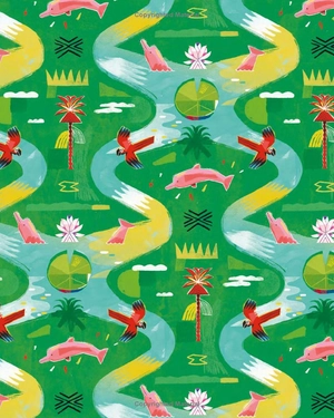 earth's incredible places - amazon river - Ảnh 9