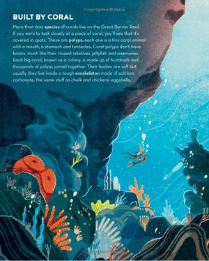 earth's incredible places - the great barrier reef - Ảnh 12