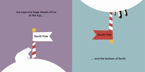 eco baby - ice caps - Ảnh 4