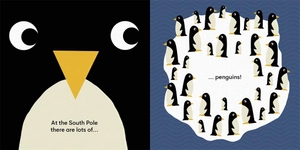 eco baby - ice caps - Ảnh 5