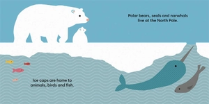 eco baby - ice caps - Ảnh 6