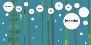 eco baby - oceans - Ảnh 5