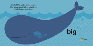 eco baby - oceans - Ảnh 6