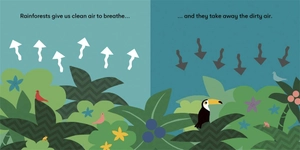 eco baby - rainforests - Ảnh 3