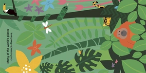 eco baby - rainforests - Ảnh 4