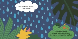 eco baby - rainforests - Ảnh 5