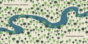 eco baby - rainforests - Ảnh 6