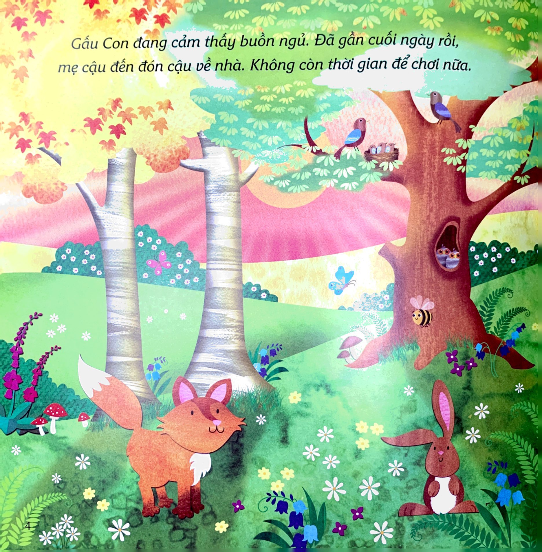 ehon châu âu - chúc gấu con ngủ ngon - Ảnh 3