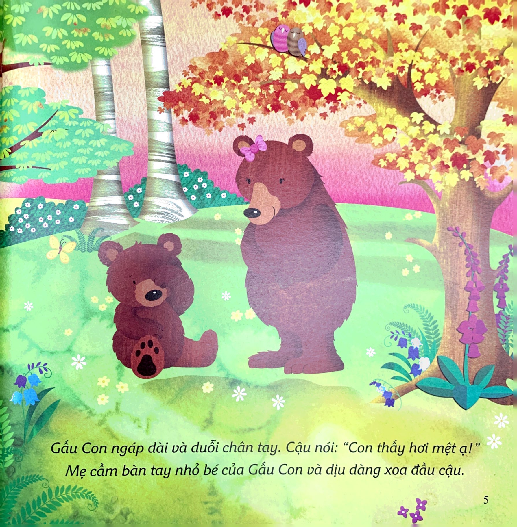 ehon châu âu - chúc gấu con ngủ ngon - Ảnh 4