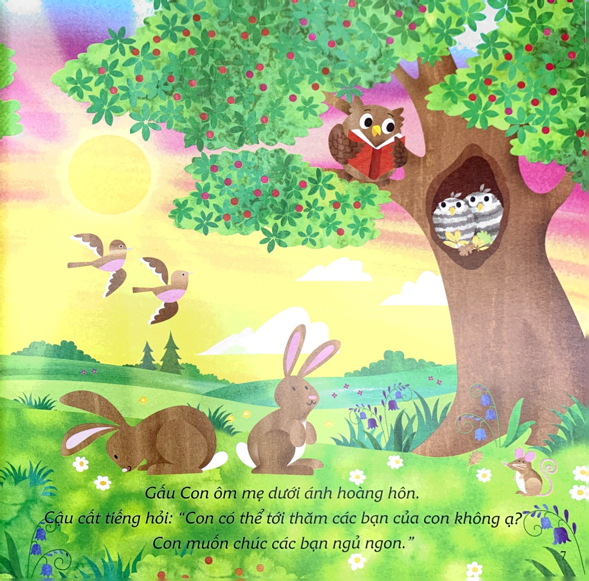 ehon châu âu - chúc gấu con ngủ ngon - Ảnh 6