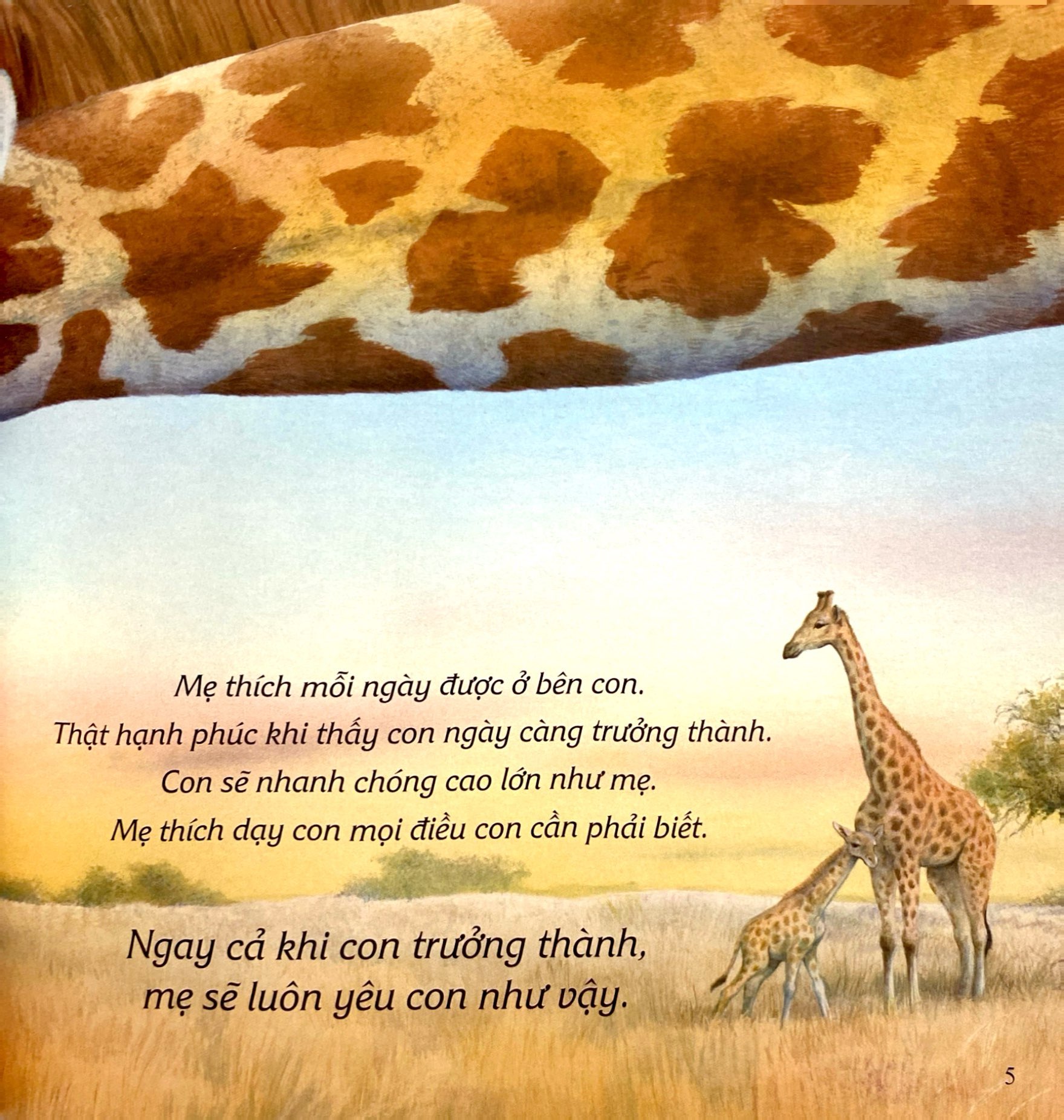 ehon châu âu - mẹ yêu con - Ảnh 4