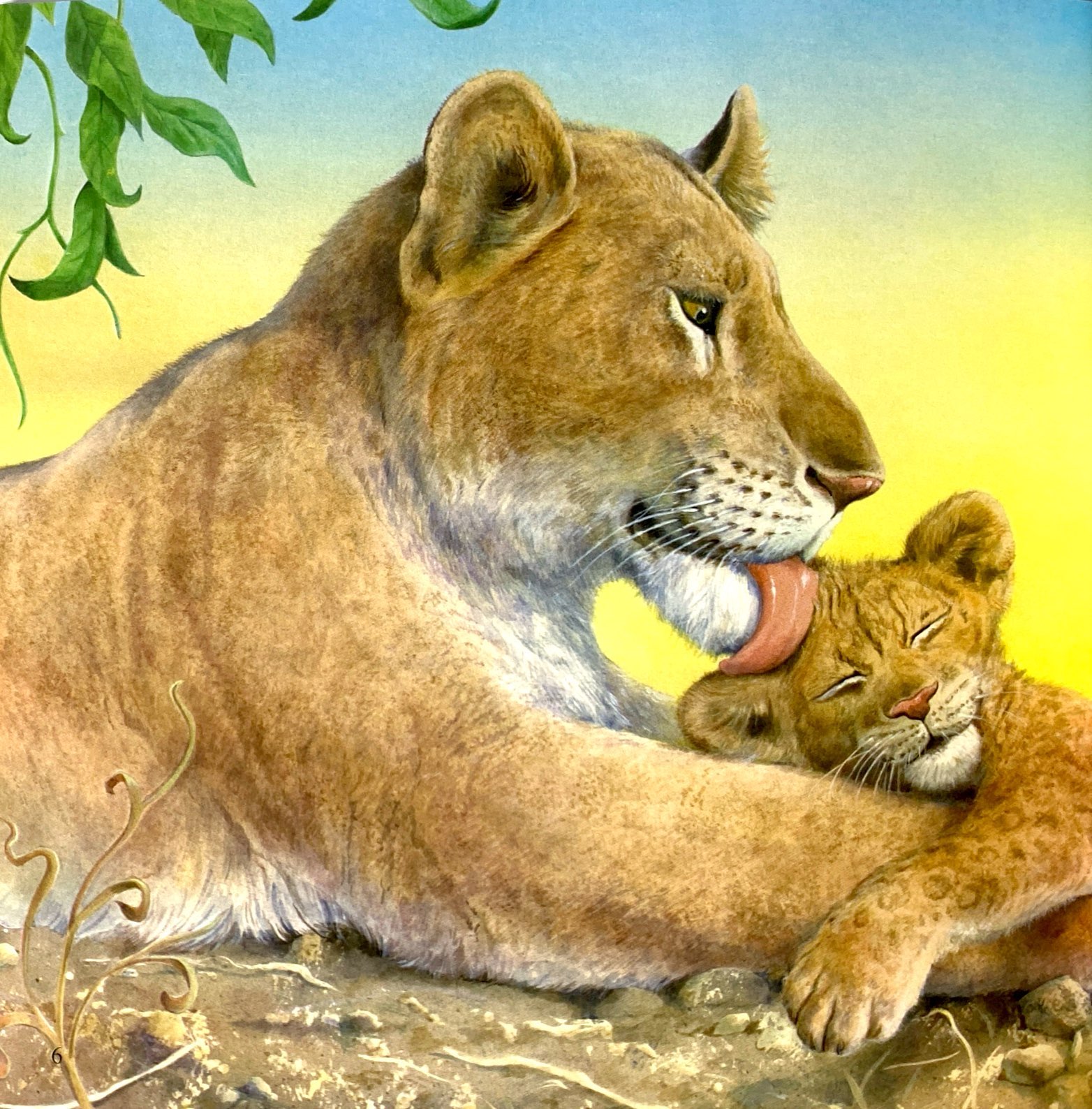 ehon châu âu - mẹ yêu con - Ảnh 5