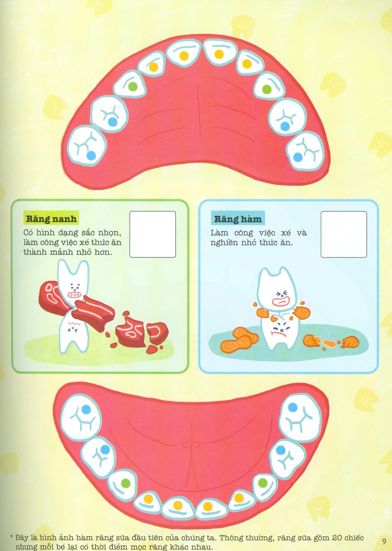 ehon chơi mà học - phòng khám răng chẳng đáng sợ tẹo nào (từ 3 tuổi) - Ảnh 8