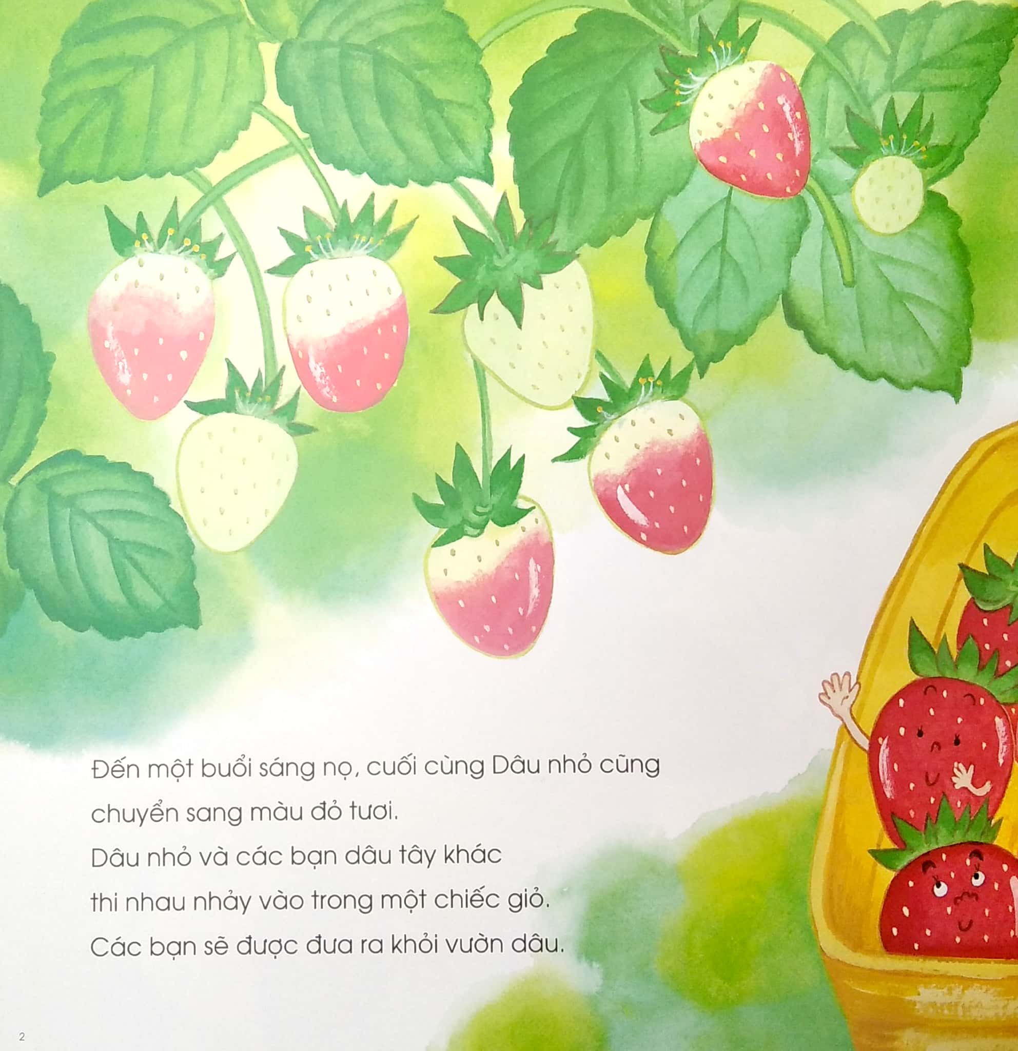 ehon - mọt sách mogu - dâu nhỏ ơi, cậu ở đâu thế? - Ảnh 3