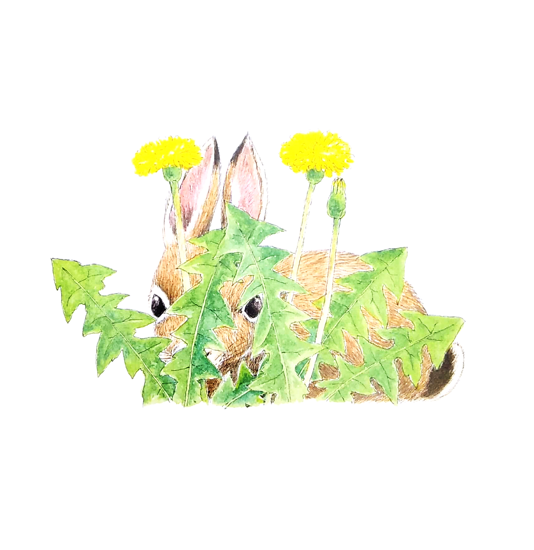 ehon - mọt sách mogu - đố biết ai đây? (từ 1 - 6 tuổi) (tái bản) - Ảnh 4