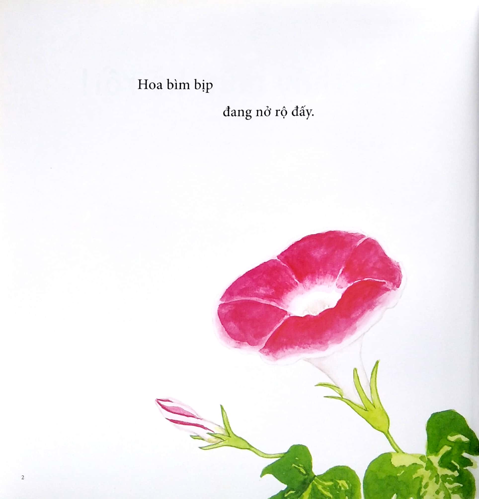 ehon - mọt sách mogu - tìm thấy mùa hè rồi! (từ 1 - 6 tuổi) - Ảnh 3