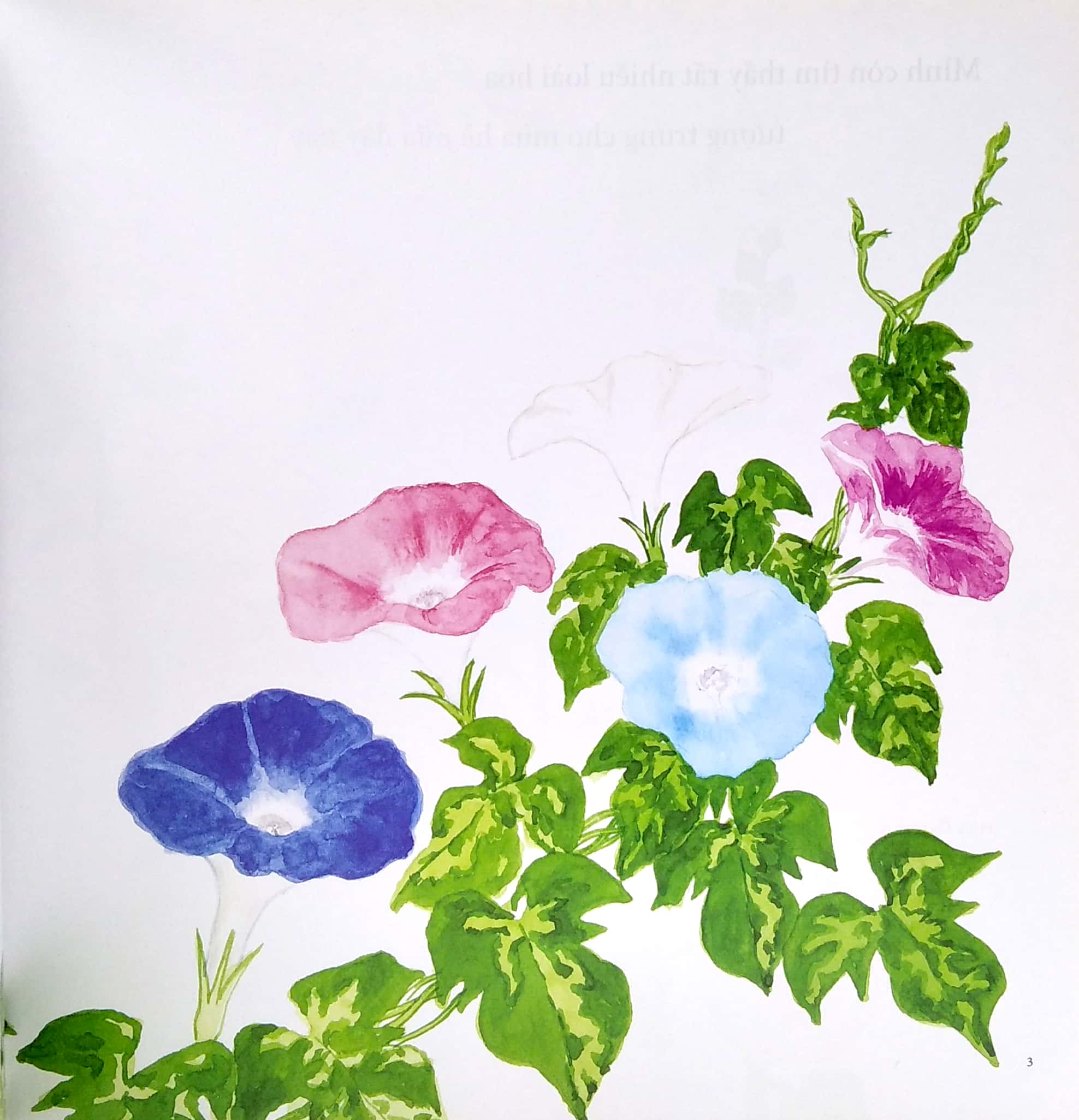 ehon - mọt sách mogu - tìm thấy mùa hè rồi! (từ 1 - 6 tuổi) - Ảnh 4