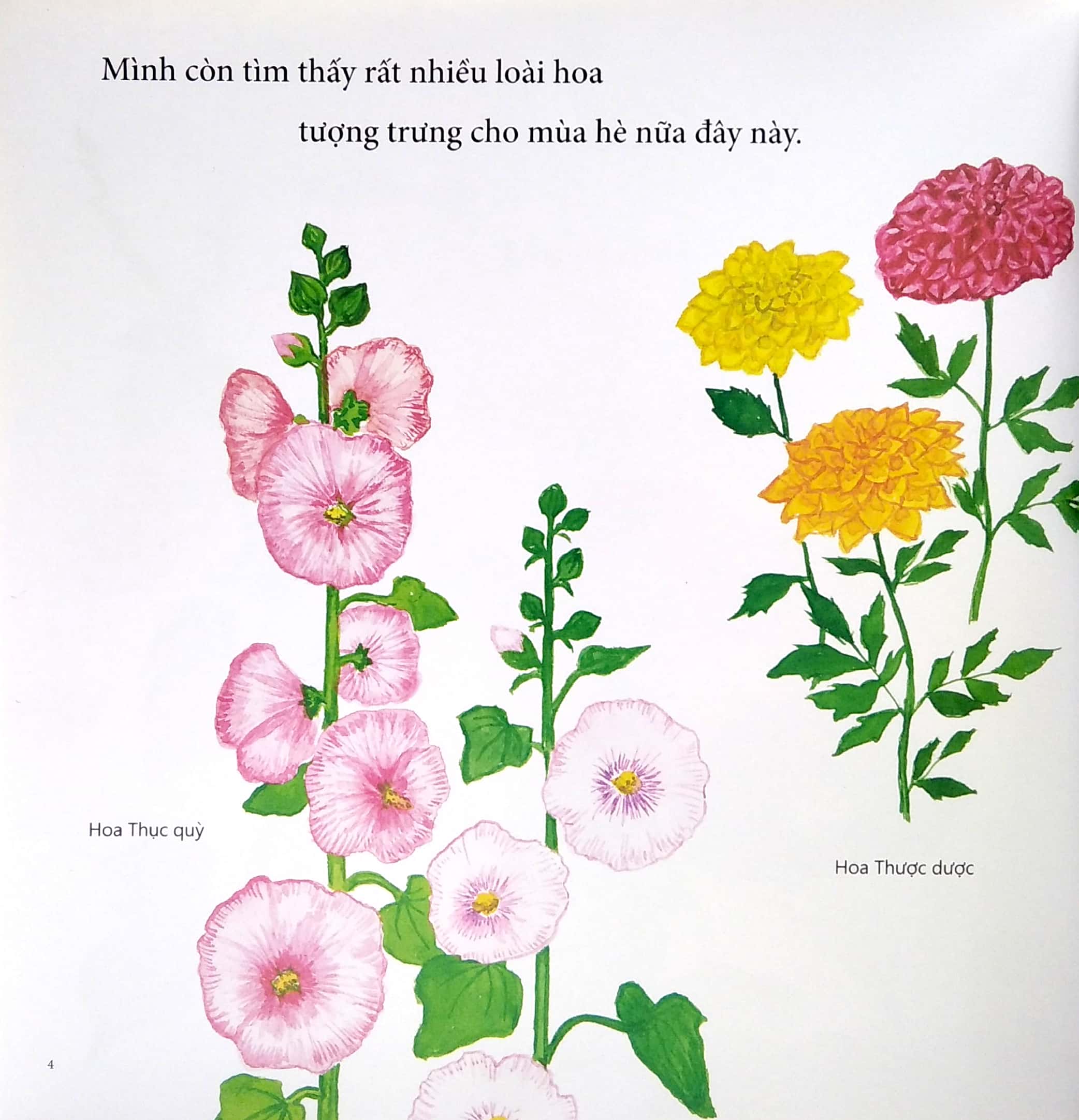 ehon - mọt sách mogu - tìm thấy mùa hè rồi! (từ 1 - 6 tuổi) - Ảnh 5