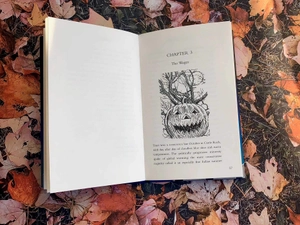 elevation - Ảnh 10