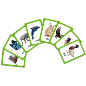 eli language games - the animal kingdom - Ảnh 3