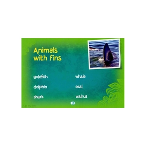 eli language games - the animal kingdom - Ảnh 5
