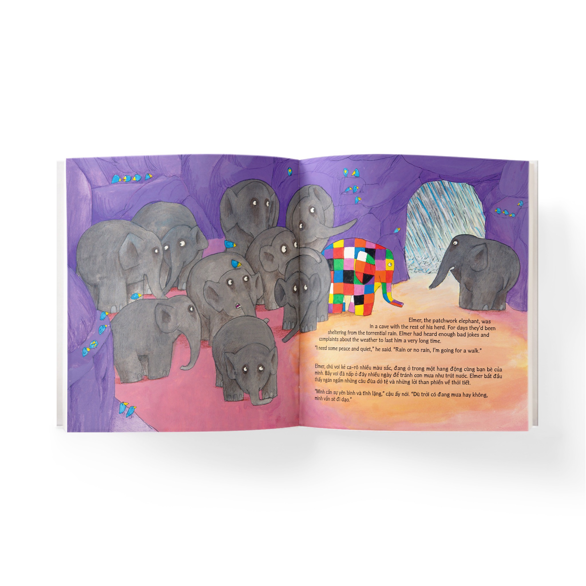 elmer and the flood - elmer và cơn lũ - song ngữ anh-việt - Ảnh 3