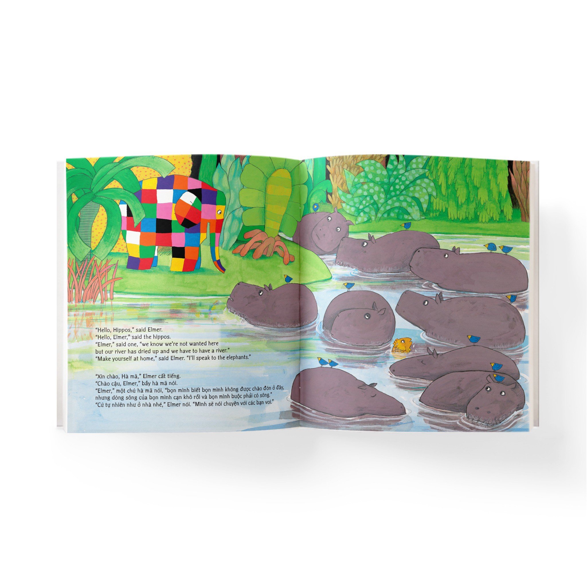 elmer and the hippos - elmer và bầy hà mã - song ngữ anh-việt - Ảnh 3