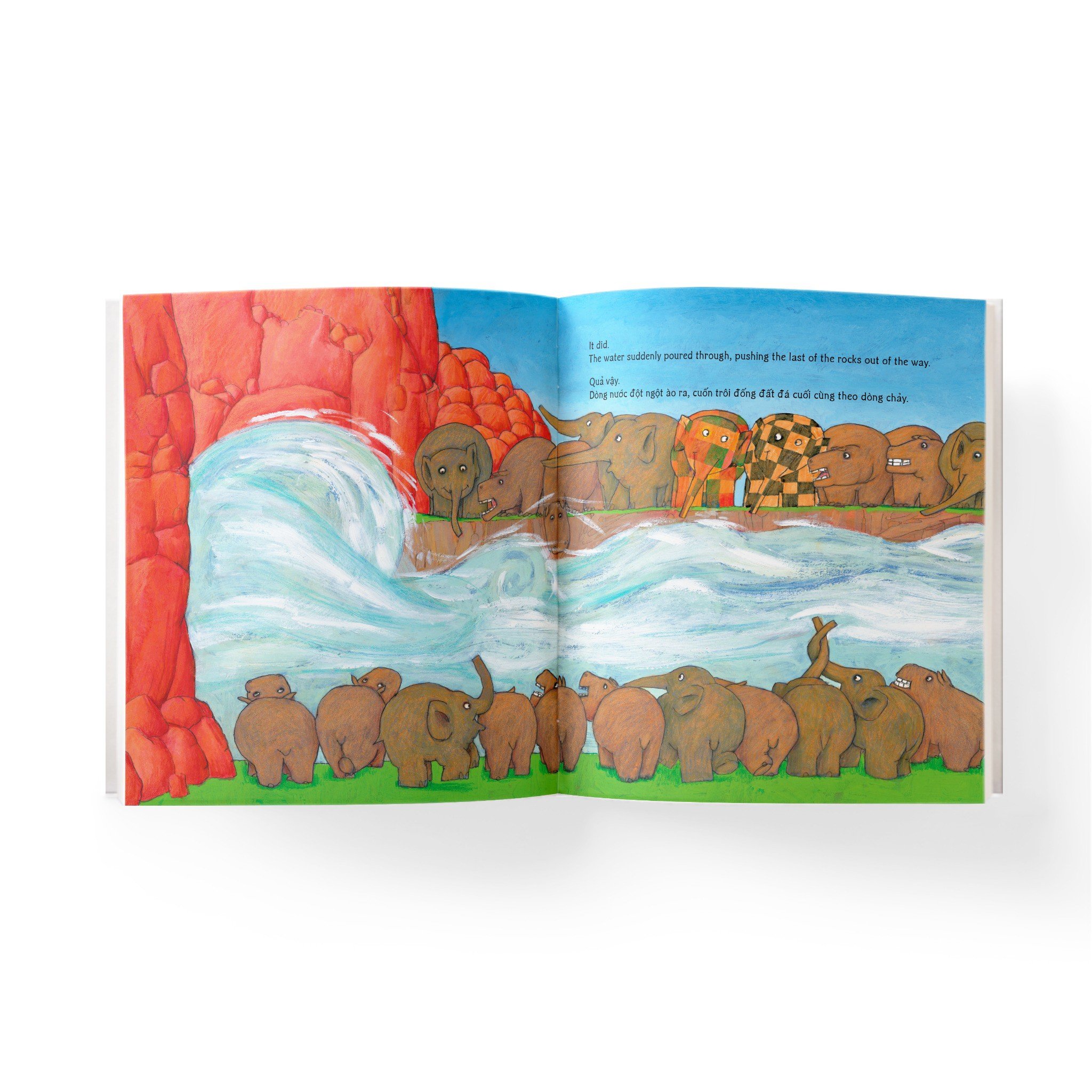 elmer and the hippos - elmer và bầy hà mã - song ngữ anh-việt - Ảnh 5