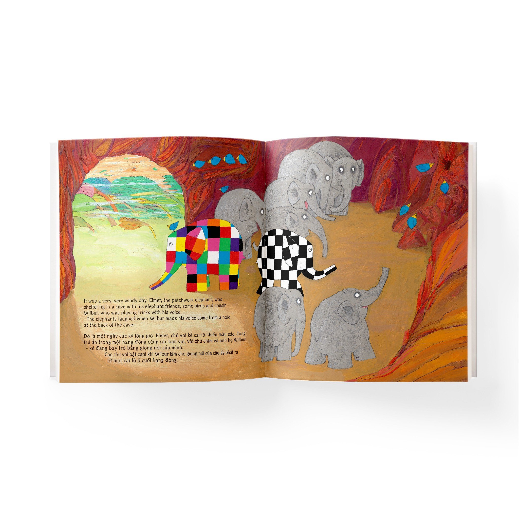 elmer and the wind - elmer và ngày gió lớn - song ngữ anh-việt - Ảnh 3