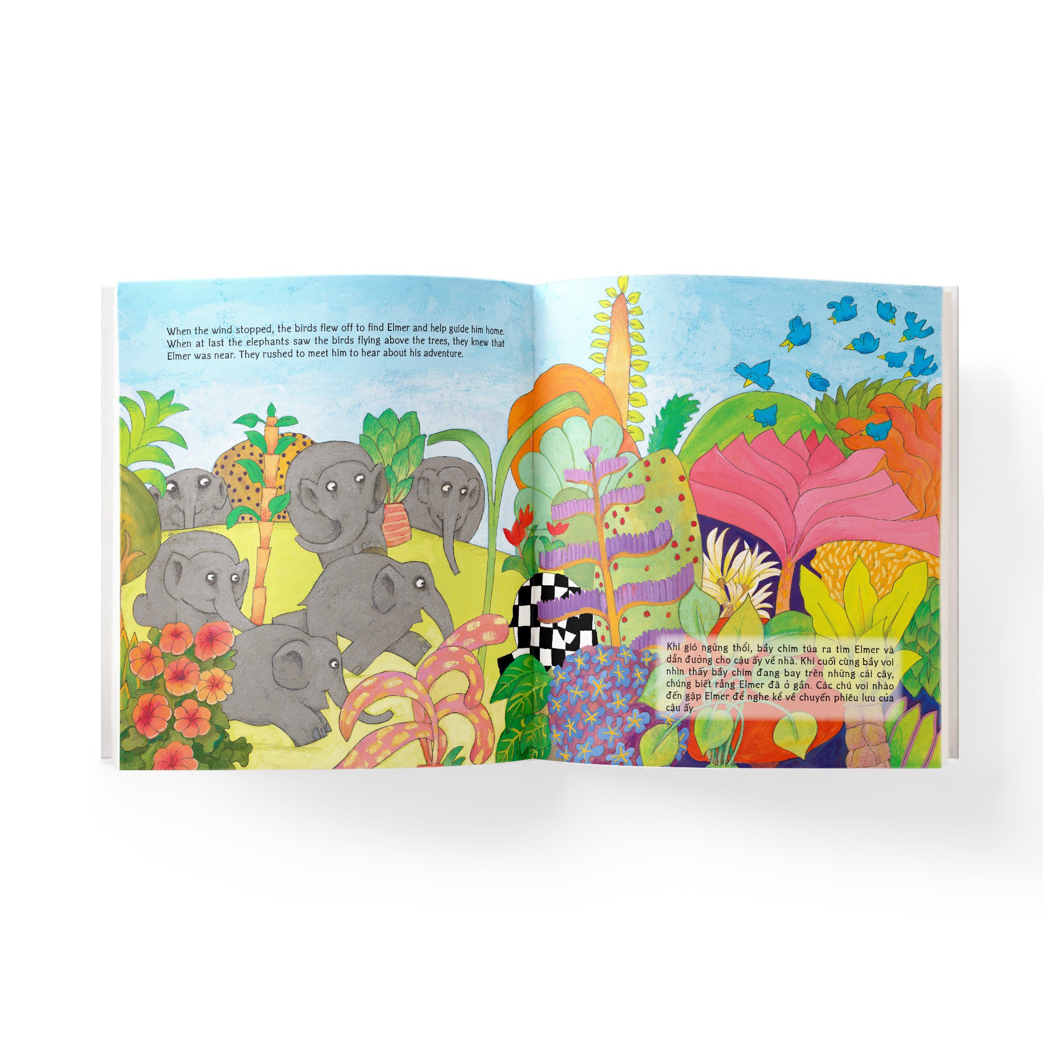 elmer and the wind - elmer và ngày gió lớn - song ngữ anh-việt - Ảnh 4