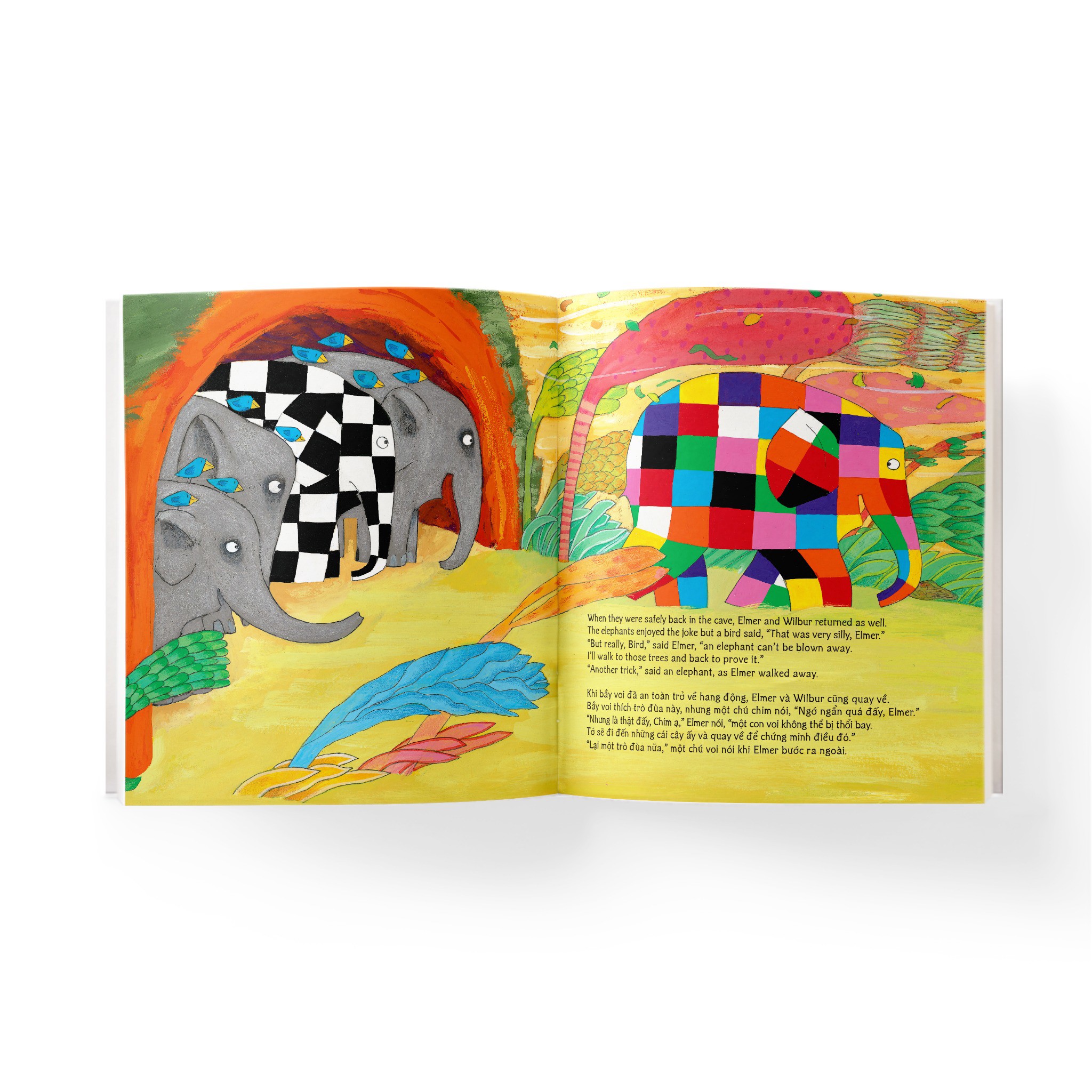 elmer and the wind - elmer và ngày gió lớn - song ngữ anh-việt - Ảnh 5