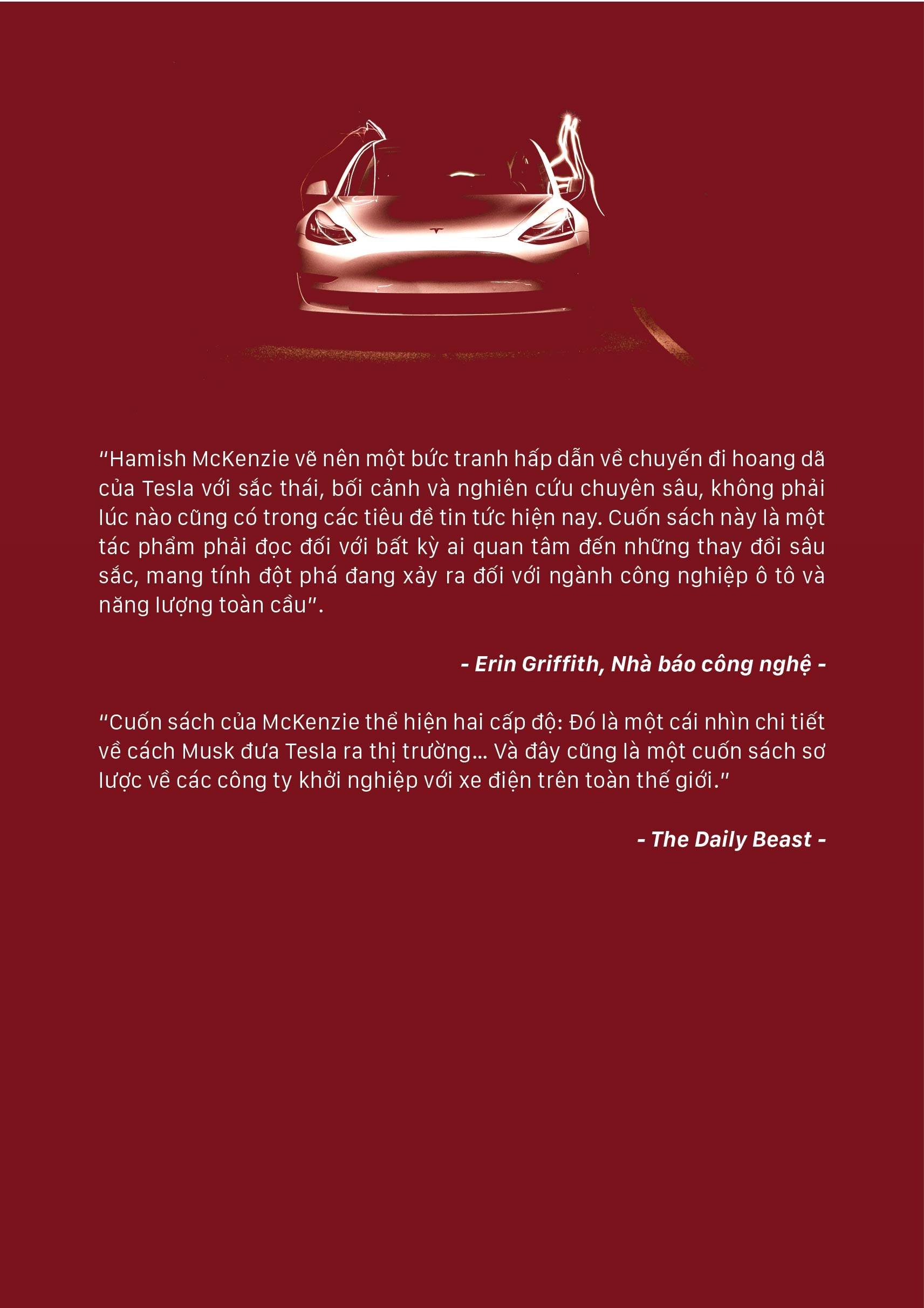 elon musk - đặt cả thế giới lên bốn bánh xe điện - Ảnh 3