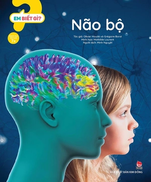 em biết gì? - não bộ - Ảnh 2