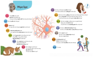 em biết gì? - não bộ - Ảnh 3