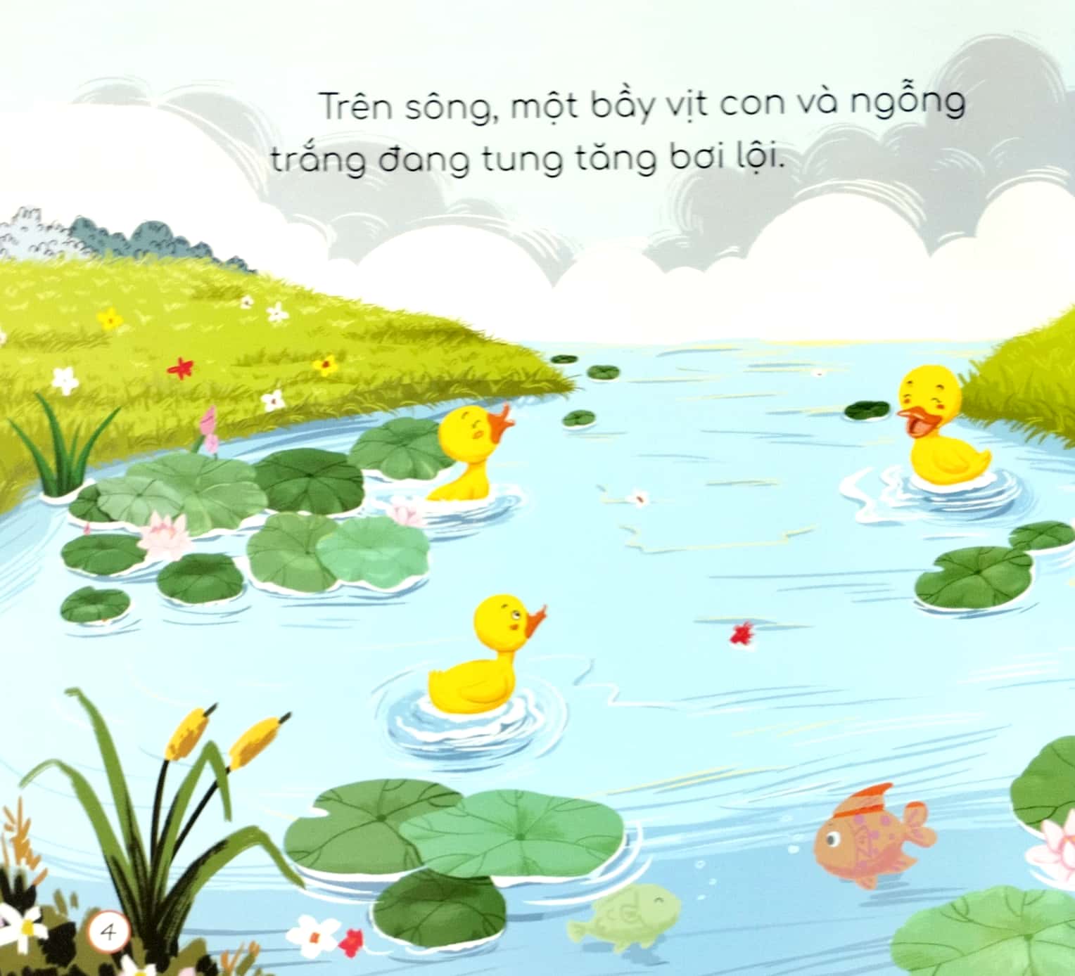 em học cách giữ an toàn cho bản thân - vịt con suýt chết đuối - Ảnh 5