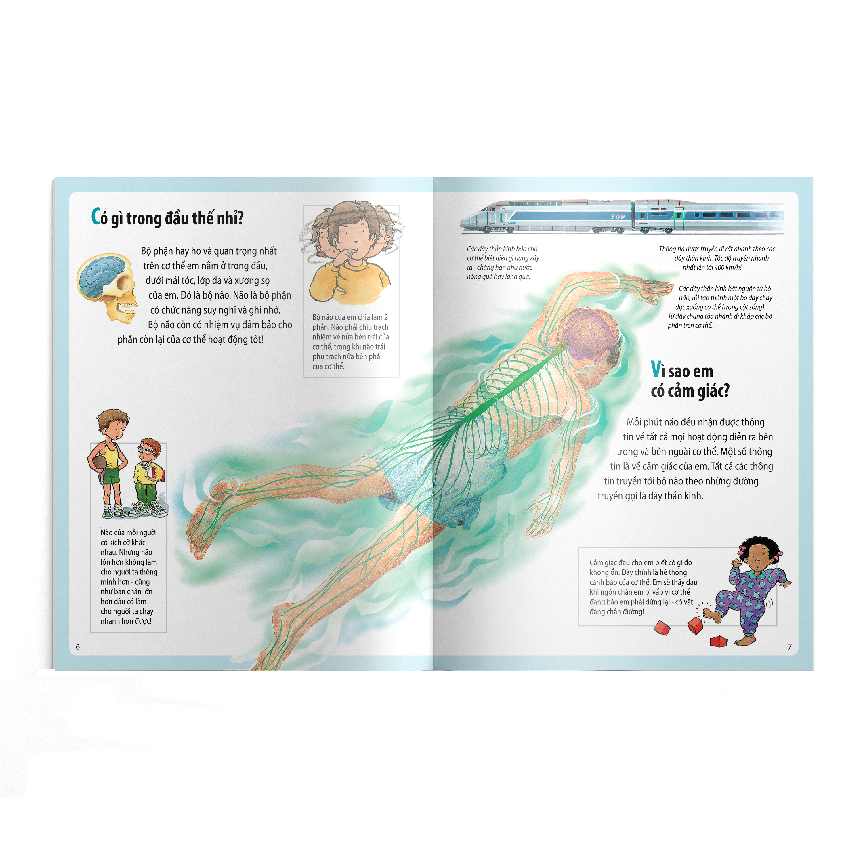 em muốn biết vì sao - bụng em sôi ùng ục và những câu hỏi khác về cơ thể (tái bản 2022) - Ảnh 4