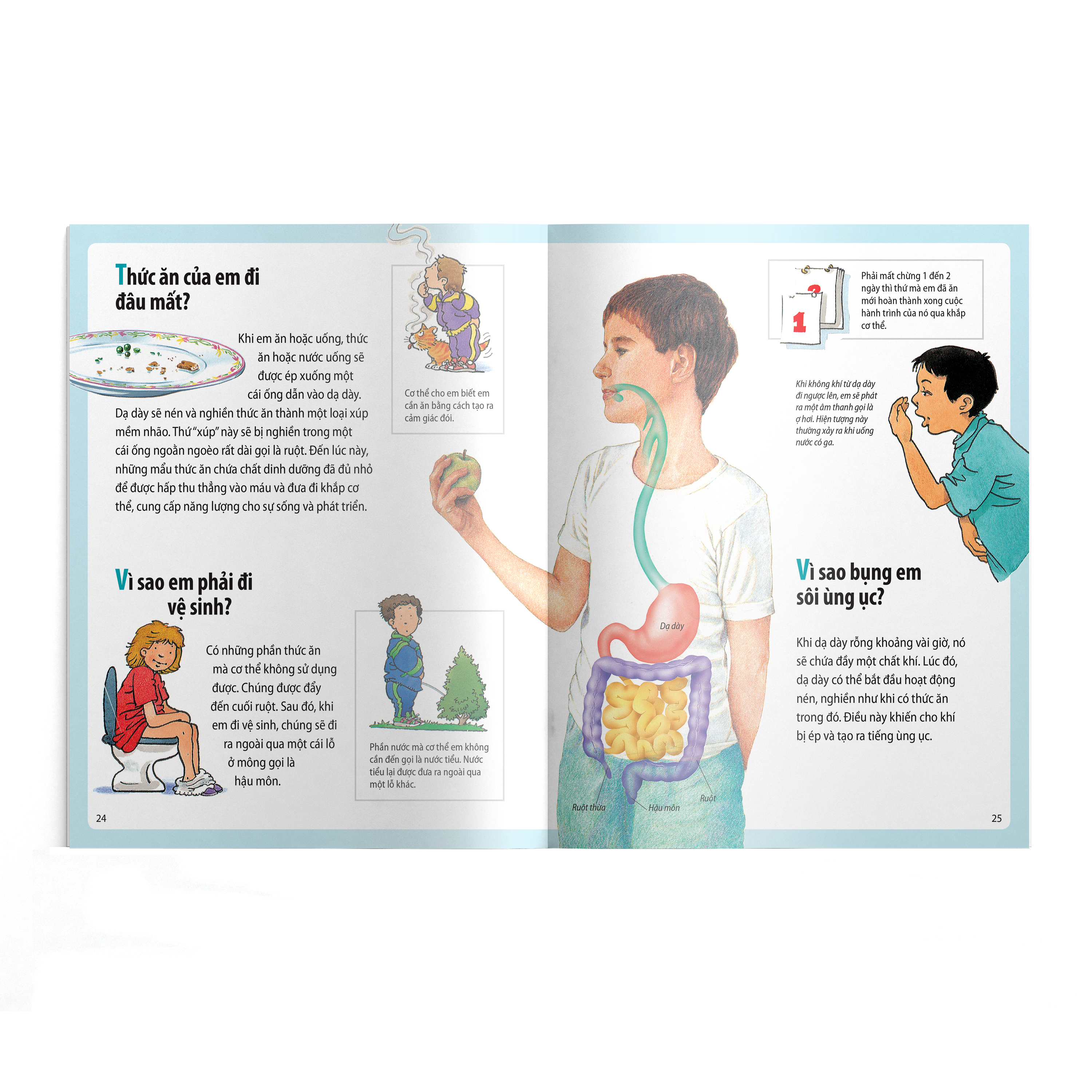 em muốn biết vì sao - bụng em sôi ùng ục và những câu hỏi khác về cơ thể (tái bản 2022) - Ảnh 5