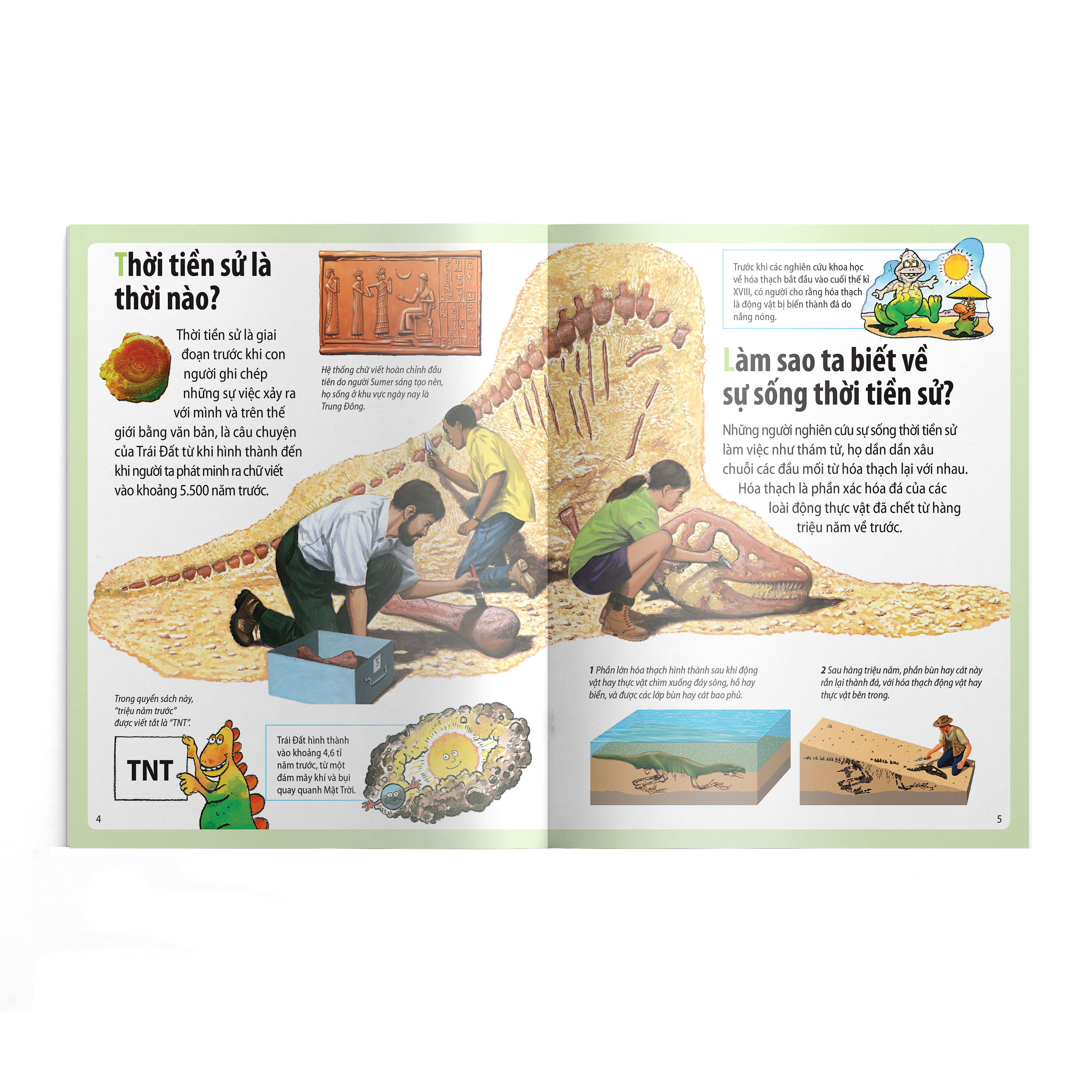 em muốn biết vì sao - cá mọc chân và những câu hỏi khác về thời tiền sử - Ảnh 4