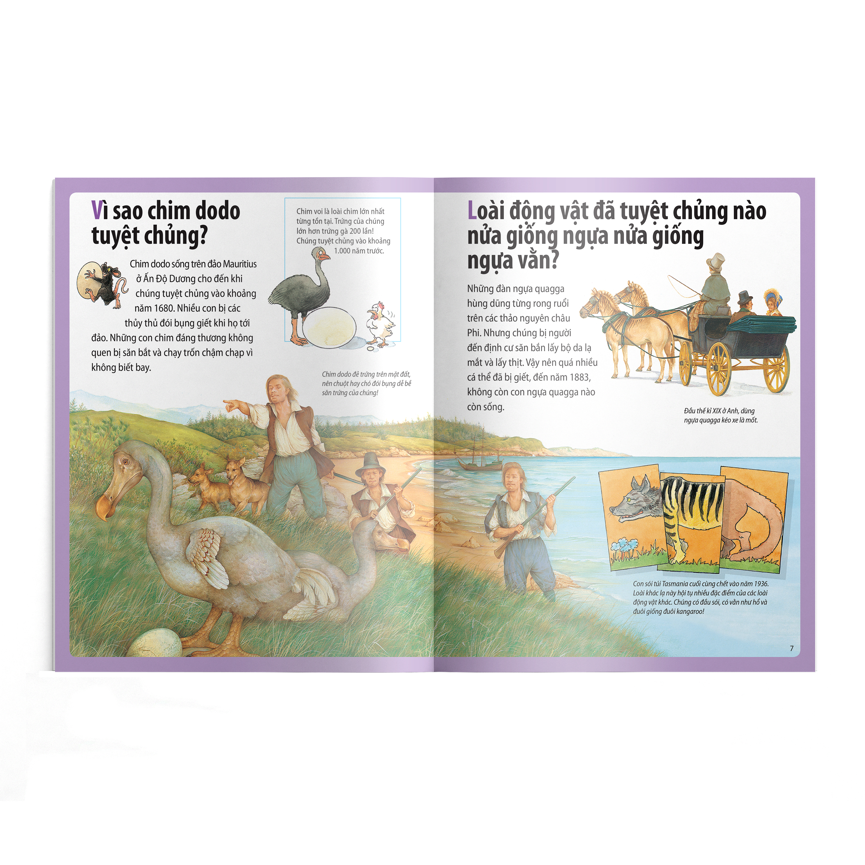 em muốn biết vì sao - chim dodo tuyệt chủng và những câu hỏi khác về các loài động vật nguy cấp và đã tuyệt chủng - Ảnh 4