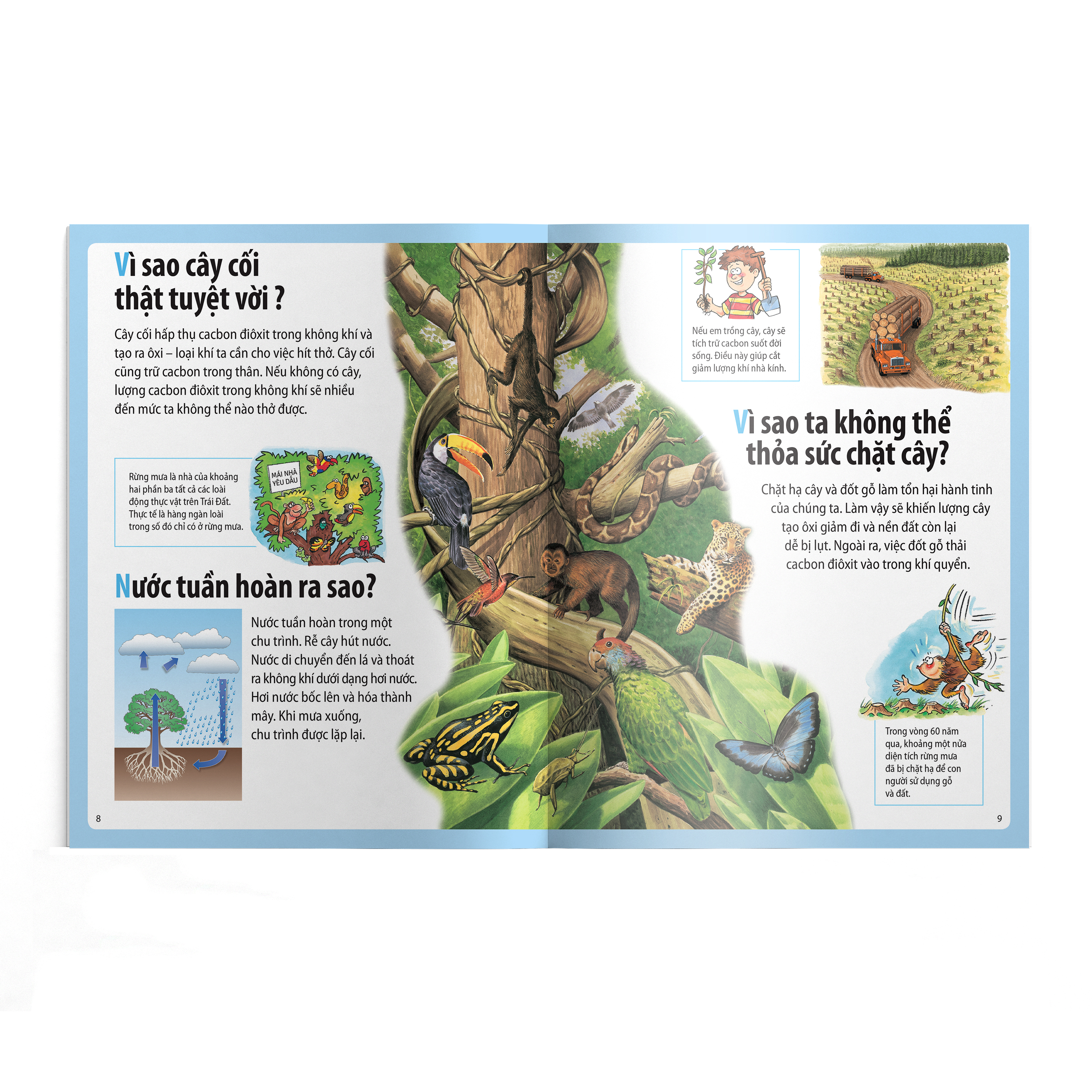 em muốn biết vì sao - có lỗ thủng trên bầu trời và những câu hỏi khác về môi trường - Ảnh 4