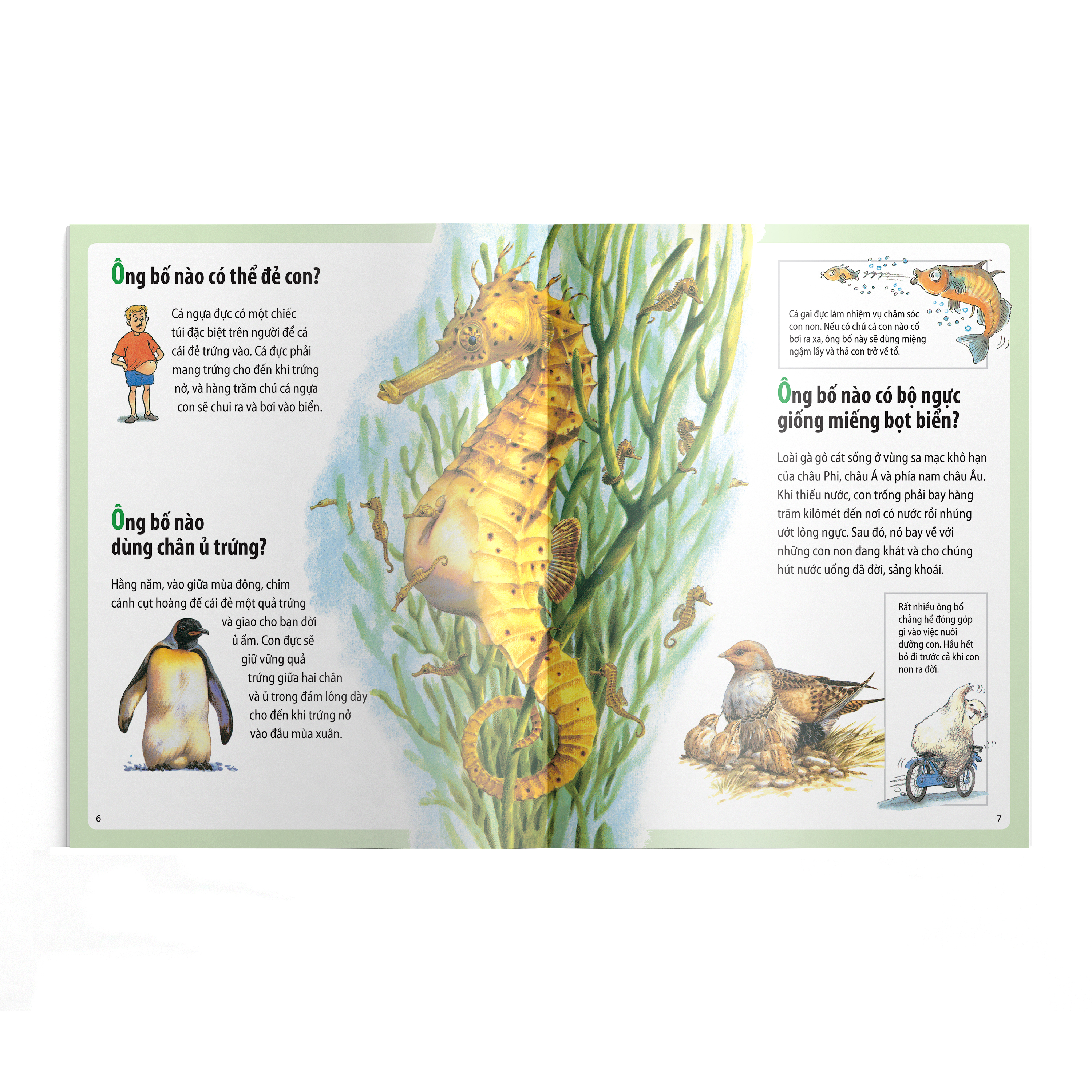 em muốn biết vì sao - kangaroo có túi và những câu hỏi khác về con non (tái bản 2022) - Ảnh 4